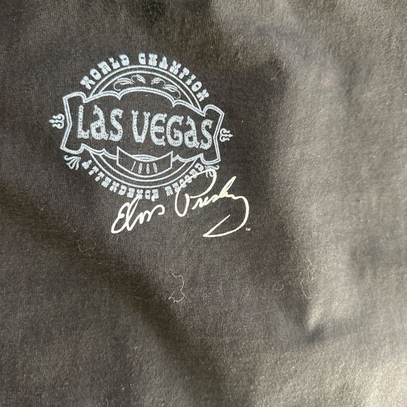 Elvis world record - Picture 5 of 5